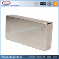 Super September purchasing rare earth metal magnet for promotion